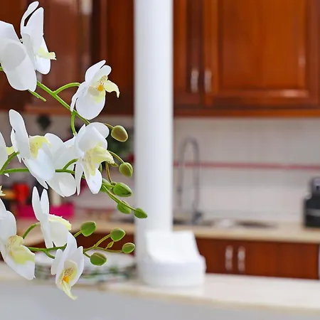 Apartamento Downtown Lisboa