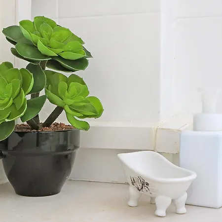 Downtown Apartamento *