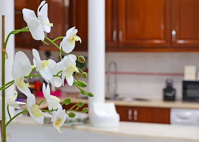 Apartamento Downtown Lisboa